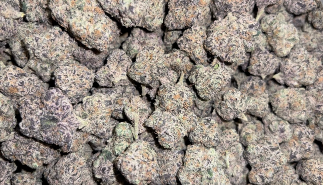 Delaware Lawmakers Push for Legalization of Marijuana: Industry Bill to Create Jobs, Generate Revenue and Reduce Illegal Sales