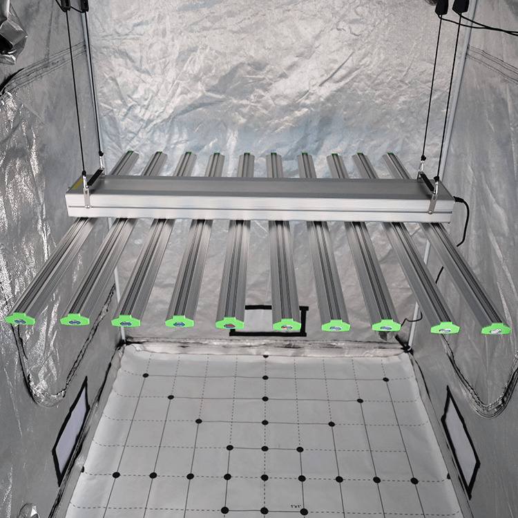 KingBrite 1100w Samsung Lm301h Cree Full Spectrum Led Grow Light - OPS.com