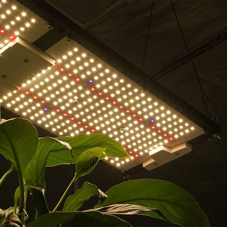 Kingbrite 240W LM301H mix Epistar 660nm with UV IR full spectrum Led - OPS.com