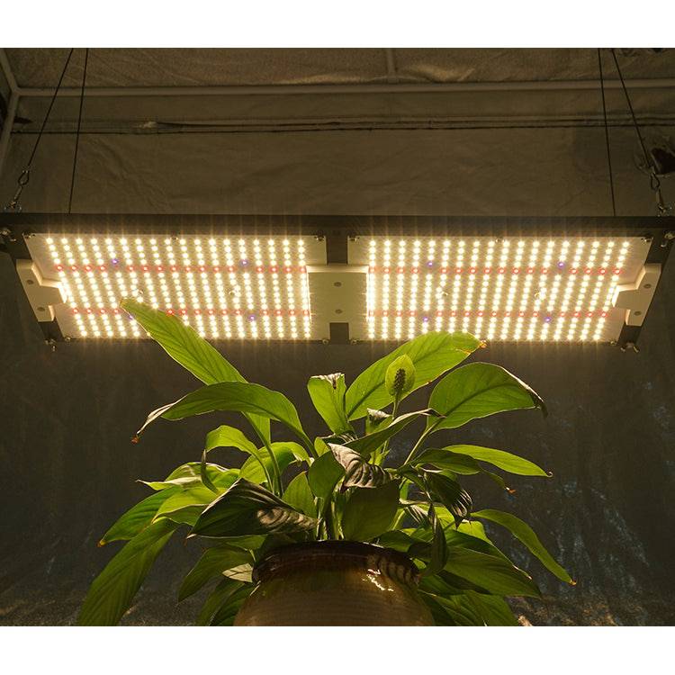 Kingbrite 240W LM301H mix Epistar 660nm with UV IR full spectrum Led - OPS.com