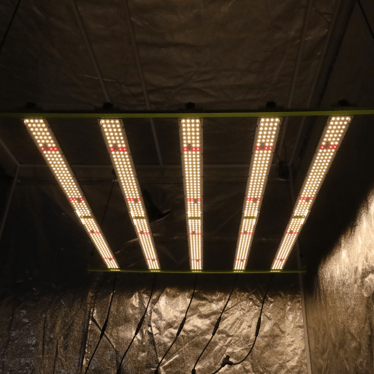 KingBrite W55 600W LM301H+Cree XPE2 660nm 730nm LG UV Full Spectrum Grow Light Bar - OPS.com